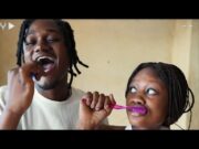 VIDEO Chin Bees – Pekee VIDEO Chin Bees - Pekee