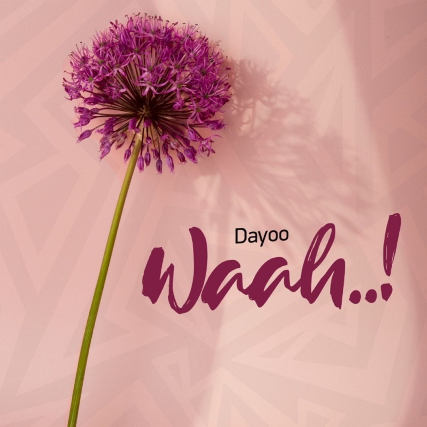 Dayoo - Waah