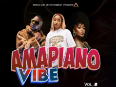 Amapiano Vibe Mixtape By Dj Doublee TZ Vol.1 Amapiano Vibe Mixtape By Dj Doublee TZ Vol.1