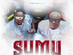 Alikiba Ft Marioo – Sumu Alikiba Ft Marioo - Sumu