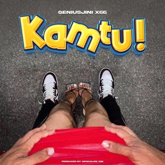 Geniusjini x66 - Kamtu