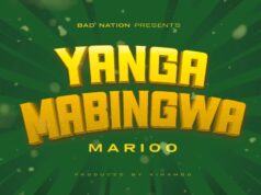 Marioo – Yanga Mabingwa Marioo - Yanga Mabingwa