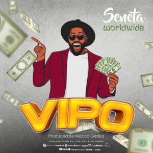 Seneta Worldwide - Vipo