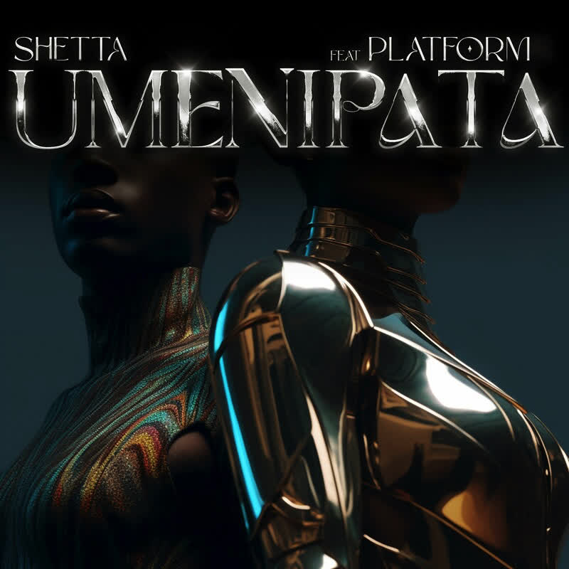 Shetta Ft Platform - Umenipata