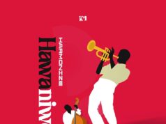 Harmonize – Hawaniwezi Harmonize - Hawaniwezi