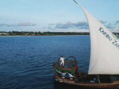 VIDEO Harmonize – Tena VIDEO Harmonize - Tena