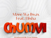 Mzee Wa Bwax Ft Elisha – Chumvi Mzee Wa Bwax Ft Elisha - Chumvi