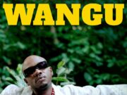 Q Chief – Wangu Q Chief - Wangu