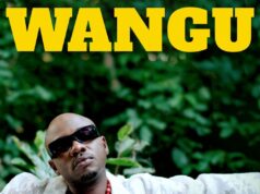 Q Chief – Wangu Q Chief - Wangu