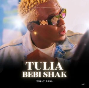 Willy Paul - Tulia (Bebi Shak)
