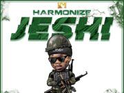 Harmonize – Jeshi Harmonize - Jeshi