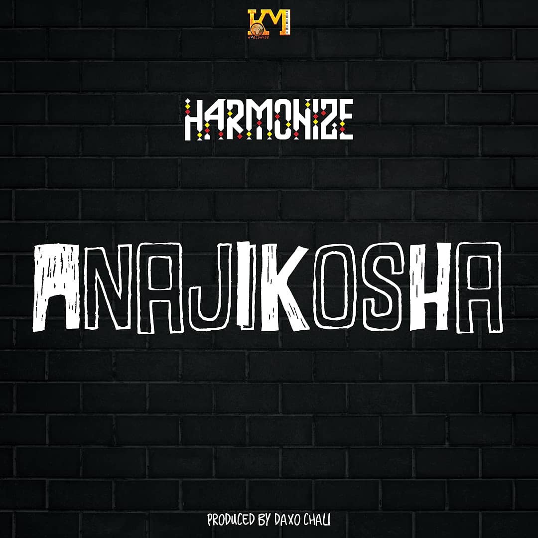 Harmonize - Anajikosha