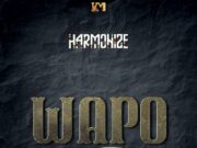 Harmonize – Wapo Harmonize - Wapo