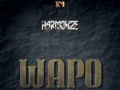 Harmonize – Wapo Harmonize - Wapo