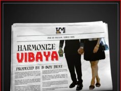 Harmonize – Vibaya Harmonize - Vibaya