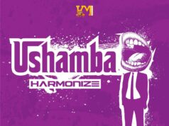 Harmonize – Ushamba Harmonize - Ushamba