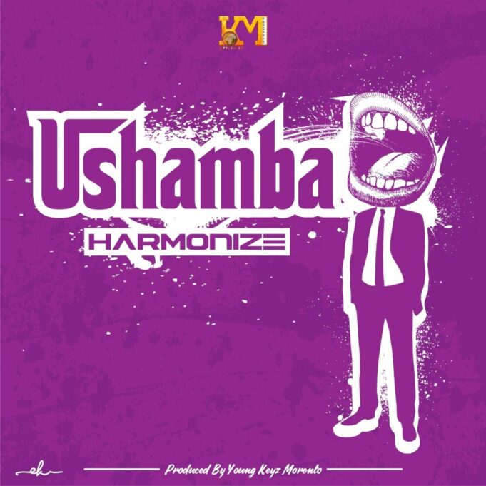 Harmonize - Ushamba