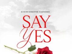 DJ Seven Worldwide Ft Harmonize – Say Yes DJ Seven Worldwide Ft Harmonize - Say Yes