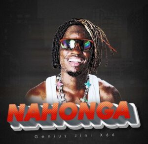 Geniusjini X66 - Nahonga