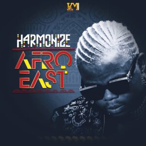 Harmonize - Never Give Up