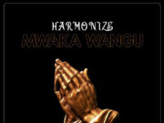 Harmonize – Mwaka Wangu Harmonize - Mwaka Wangu