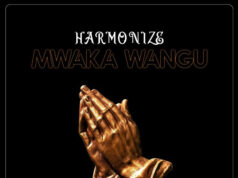 Harmonize – Mwaka Wangu Harmonize - Mwaka Wangu