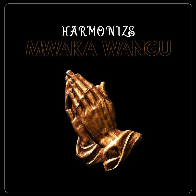 Harmonize - Mwaka Wangu