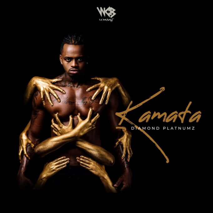 Diamond Platnumz - Kamata remix By Dj Mido