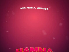 Mr Nana – Hamna Kitu Mr Nana - Hamna Kitu