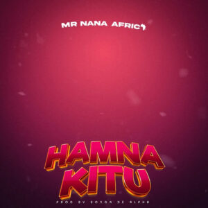 Mr Nana - Hamna Kitu