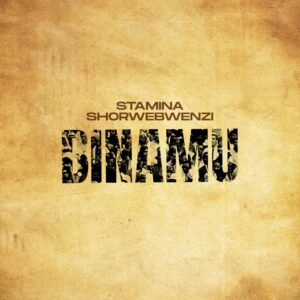 Stamina Ft MwanaFA - Binamu