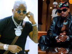 Harmonize Ft Diamond Platnumz – Bado Harmonize Ft Diamond Platnumz - Bado