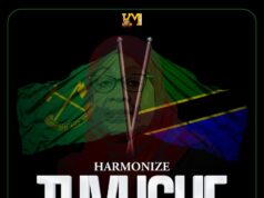 Harmonize – Tuvushe Harmonize - Tuvushe