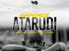 Harmonize – Atarudi Harmonize - Atarudi
