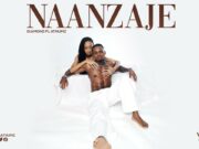 Diamond Platnumz – Naanzaje Remix By Dj Mido Diamond Platnumz - Naanzaje Remix By Dj Mido