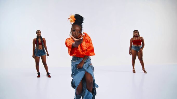 VIDEO Frida Amani Ft Young Lunya - Wapi