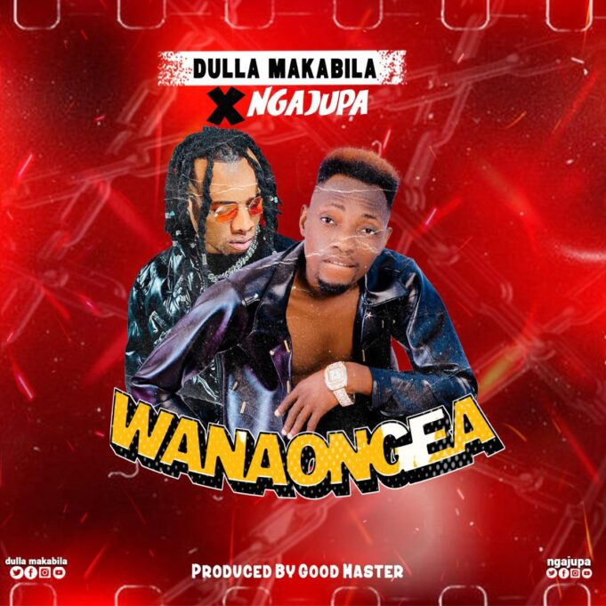 Dulla Makabila Ft Ngajupa - Wanaongea