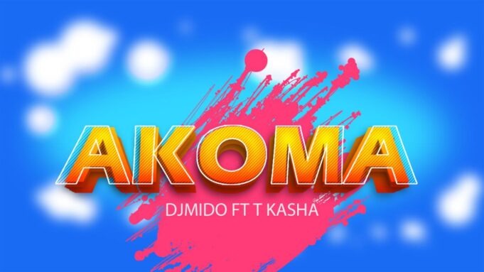 Dj Mido Ft T Kasha - Akoma