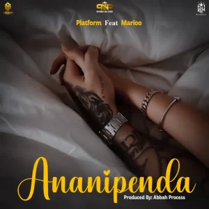 Platform Tz Ft Marioo - Ananipenda