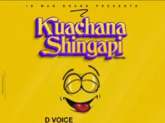 D Voice Ft Barnaba, Lody Music & Platform – Kuachana Shingapi D Voice Ft Barnaba, Lody Music & Platform - Kuachana Shingapi