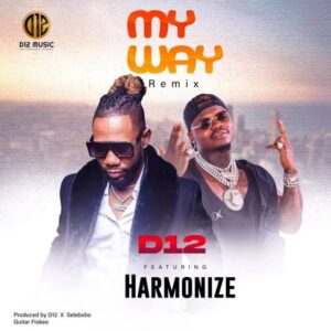 D12 Ft Harmonize - My Way Remix
