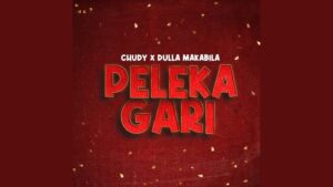 Dulla Makabila Ft Chudy - Peleka Gari