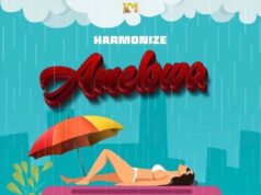 Harmonize – Amelowa Harmonize - Amelowa