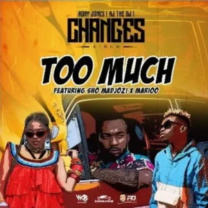 Rj The Dj Ft Sho Madjozi & Marioo - Too Much
