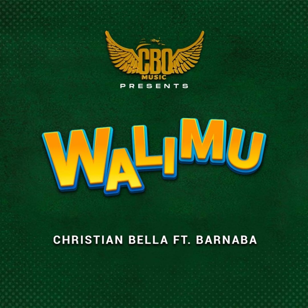 Christian Bella Ft Barnaba - Walimu