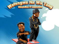 ChindoMan Ft Cappadona – Watengwa & WuTang ChindoMan Ft Cappadona - Watengwa & WuTang