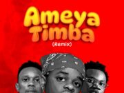 Whozu Ft Mbosso & Billnass – Ameyatimba Remix By Dj Mido Whozu Ft Mbosso & Billnass - Ameyatimba Remix By Dj Mido