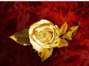 Mapanch Bmb Ft Marioo – My Love Mapanch Bmb Ft Marioo - My Love