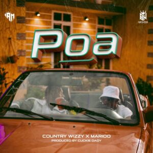 Country Wizzy Ft Marioo - Poa