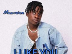 Macvoice – I Like You Macvoice - I Like You